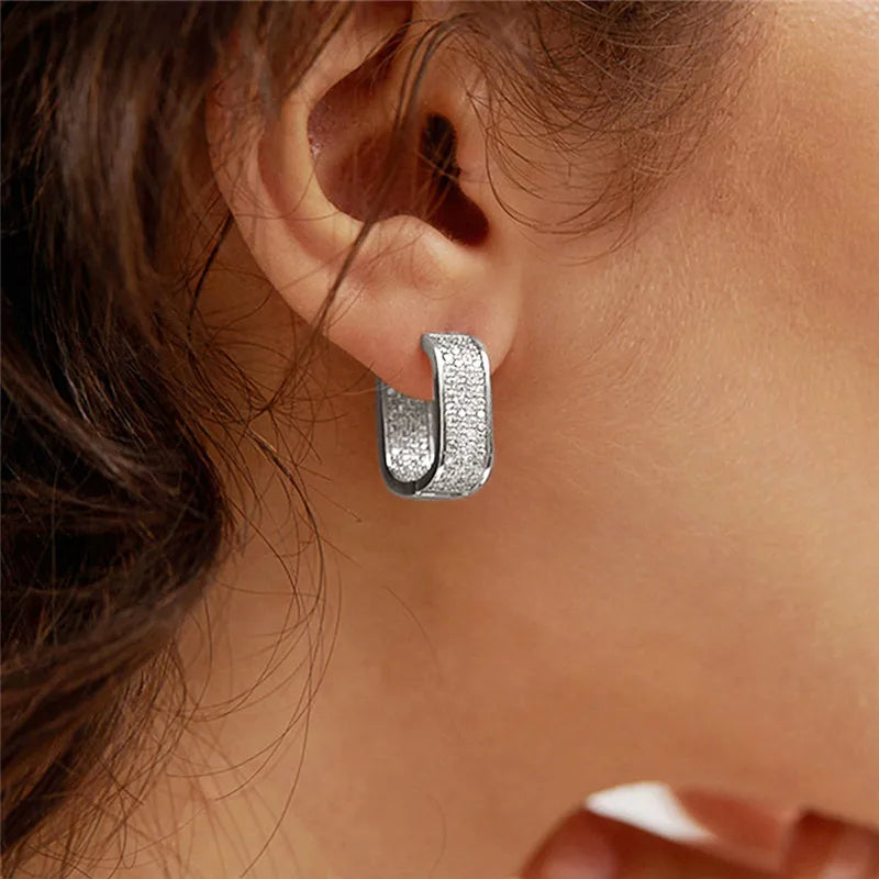 Fashion Paved CZ Hoop Earrings