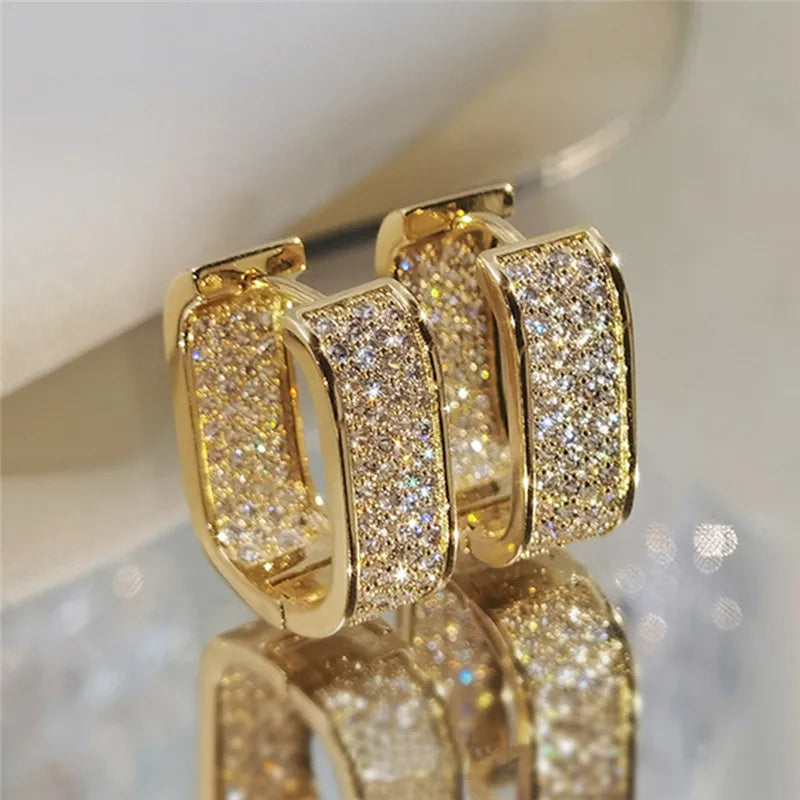 Fashion Paved CZ Hoop Earrings