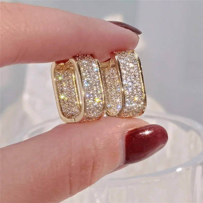 Fashion Paved CZ Hoop Earrings
