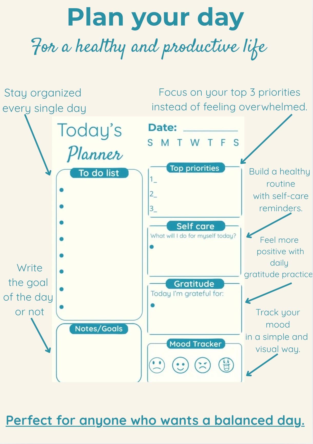 Today's Planner-Minimalist Daily Planner-Digital and Printable (Ipad+PDF,4 Colors)